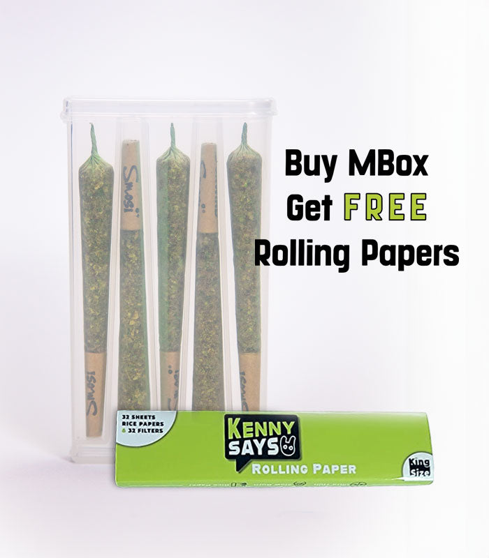 smoking accessories - preroll storage with rolling paper